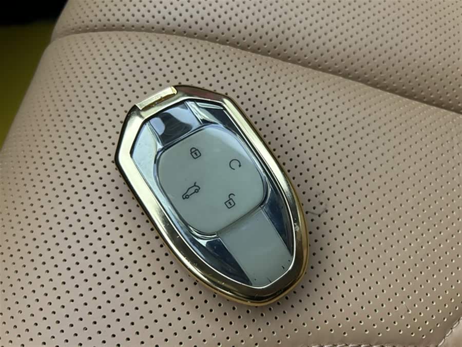GAC Trumpchi ES9 2024 car image #20