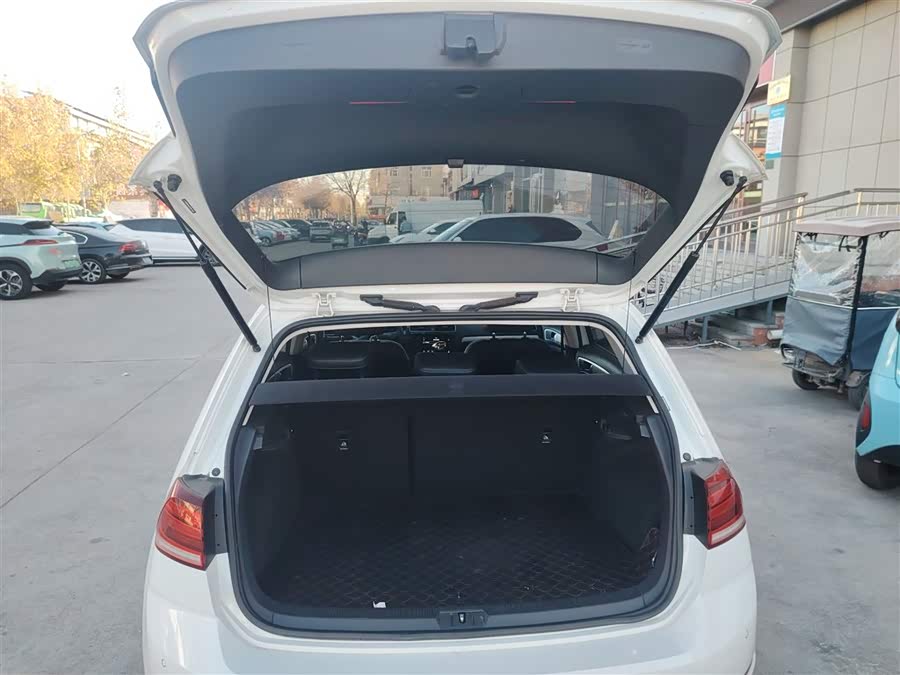 Volkswagen Golf Pure Electric 2020 car image #20