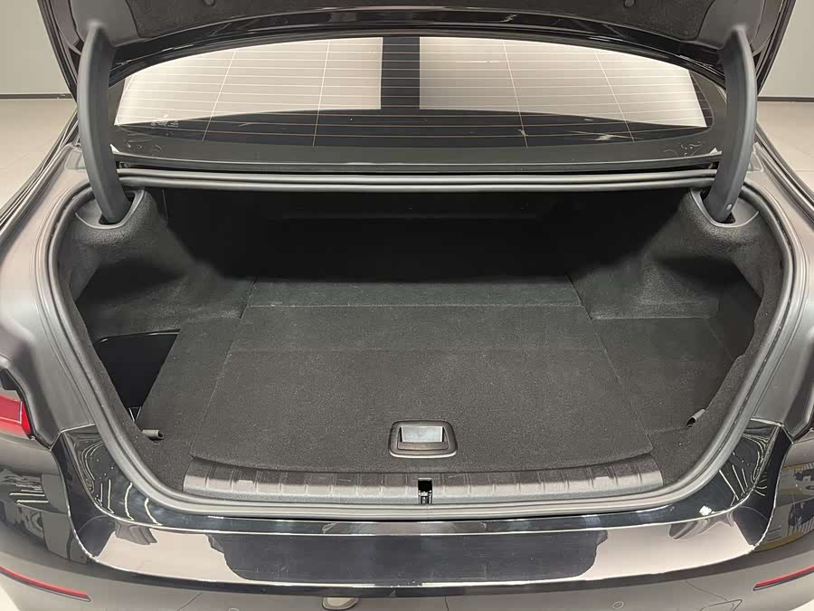 BMW 5 Series New Energy 2021 car image #20