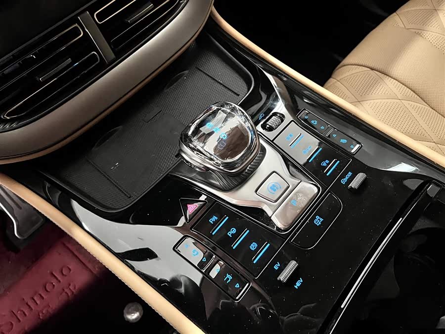 Denza D9 2025 car image #20