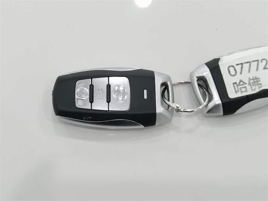 Haval H6 Coupe 2017 car image #20