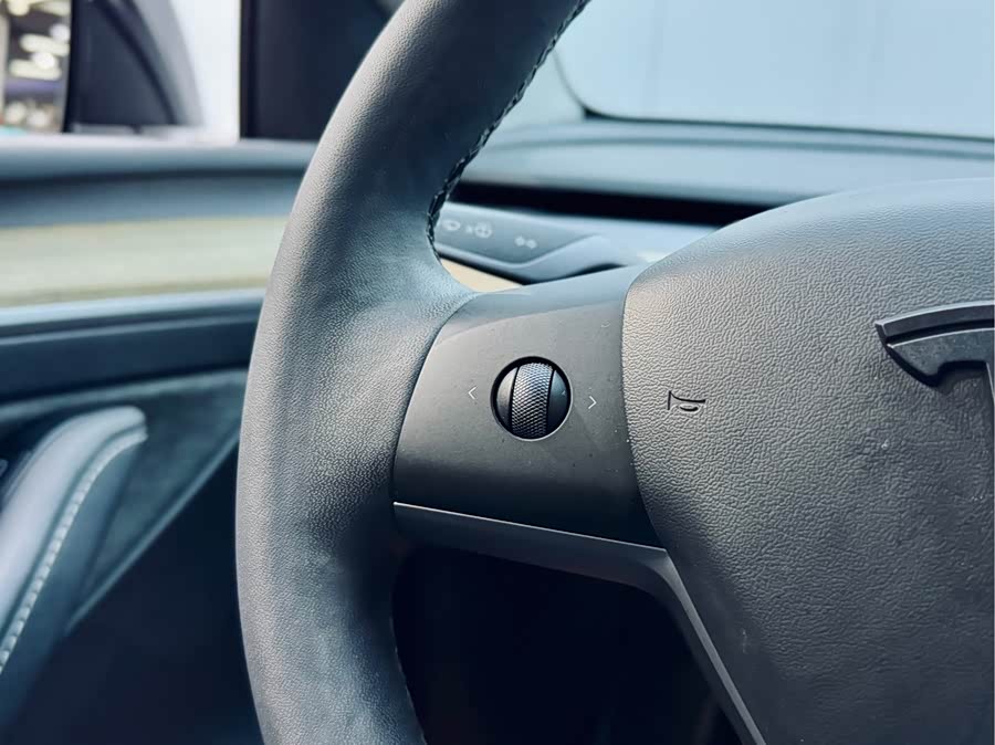 Tesla Model Y 2021 car image #20