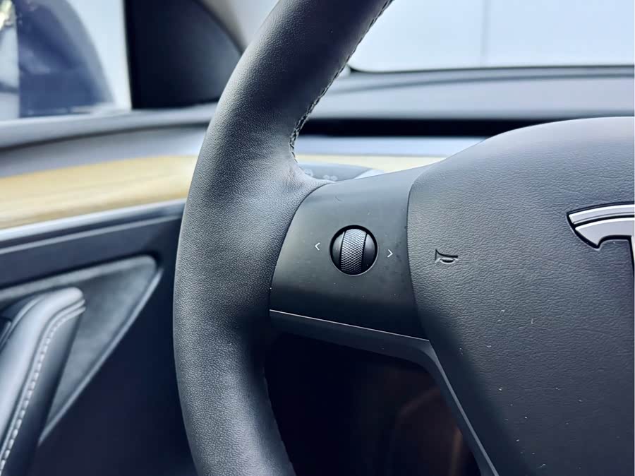 Tesla Model Y 2023 car image #20
