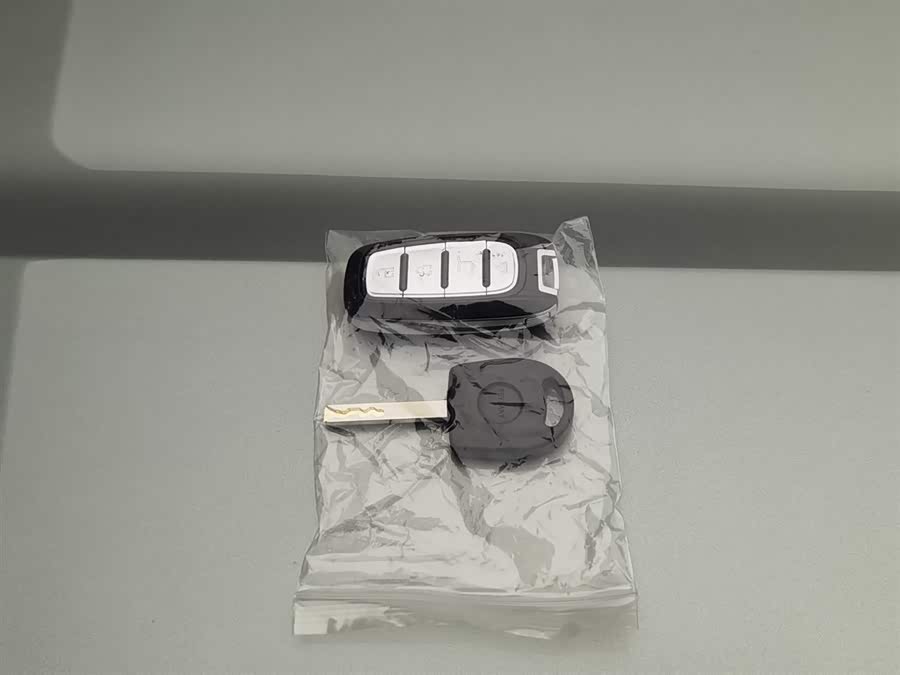 Great Wall Shanhai Pao 2023 car image #20