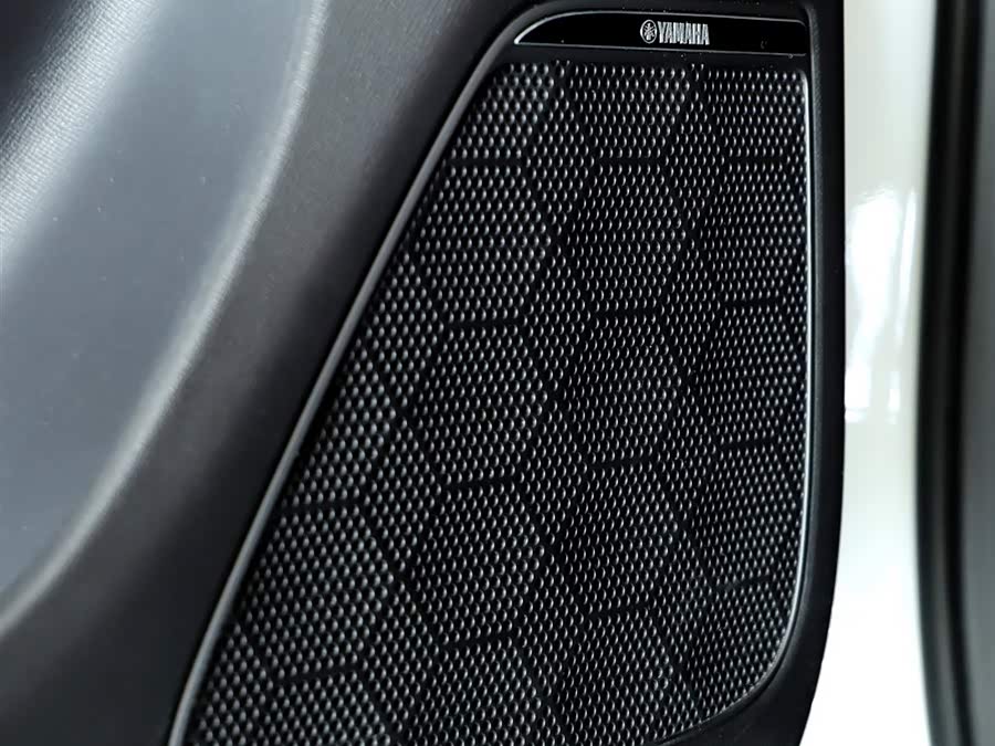 GAC Trumpchi M8 2023 immagine di auto #20