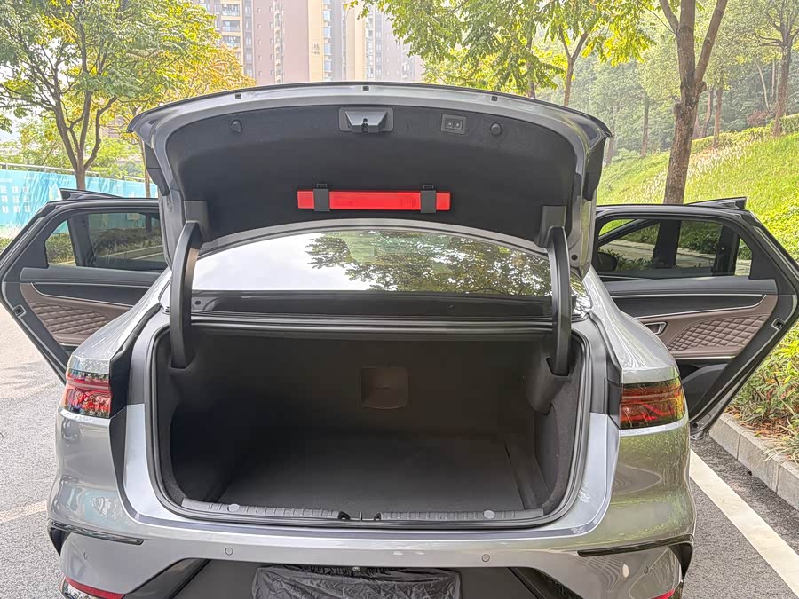 BYD Han 2022 #20 BYD Han 2022 immagine di auto #20