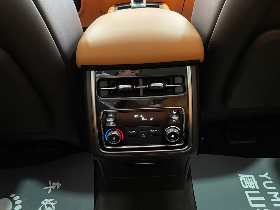 Tank 500 New Energy 2024 car image #20