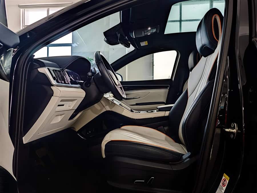 BYD Song Plus New Energy 2023 car image #20