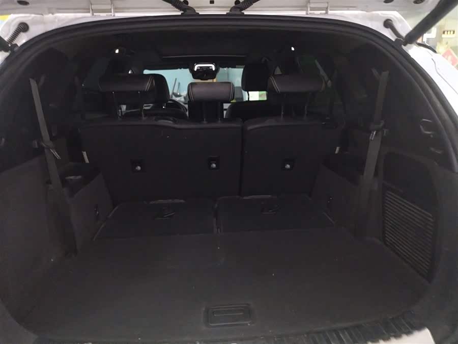 Denza X 2020 car image #20