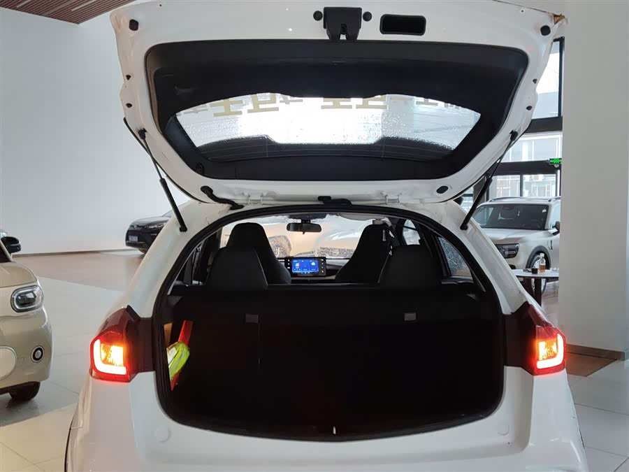 X3 PRO 2025 car image #20