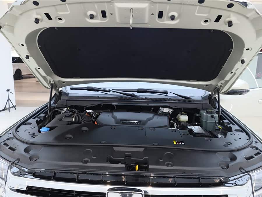 Tank 500 New Energy 2025 immagine di auto #20