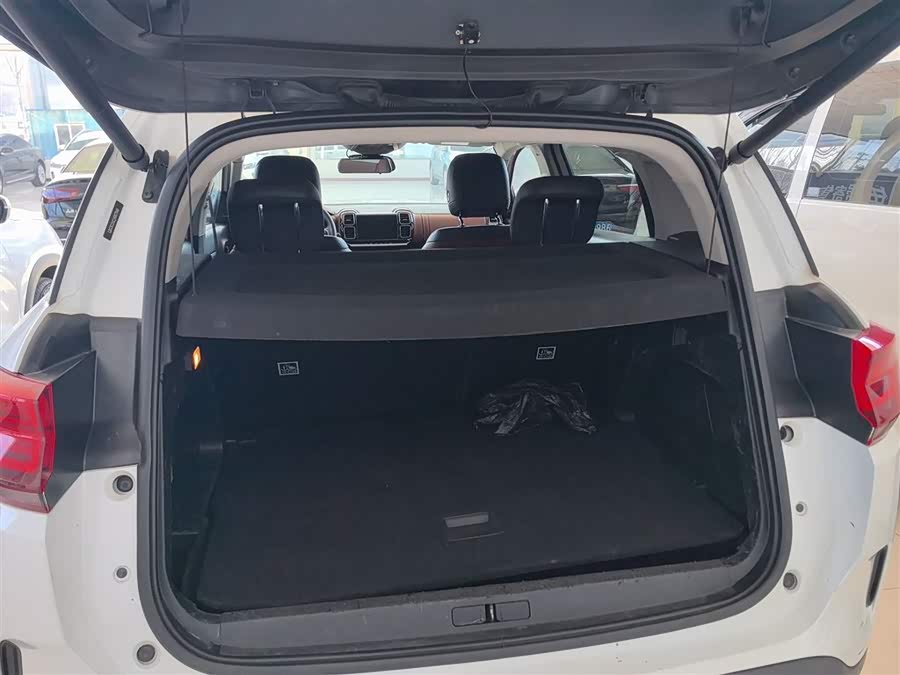 Citroen C5 AIRCROSS 2019 car image #20