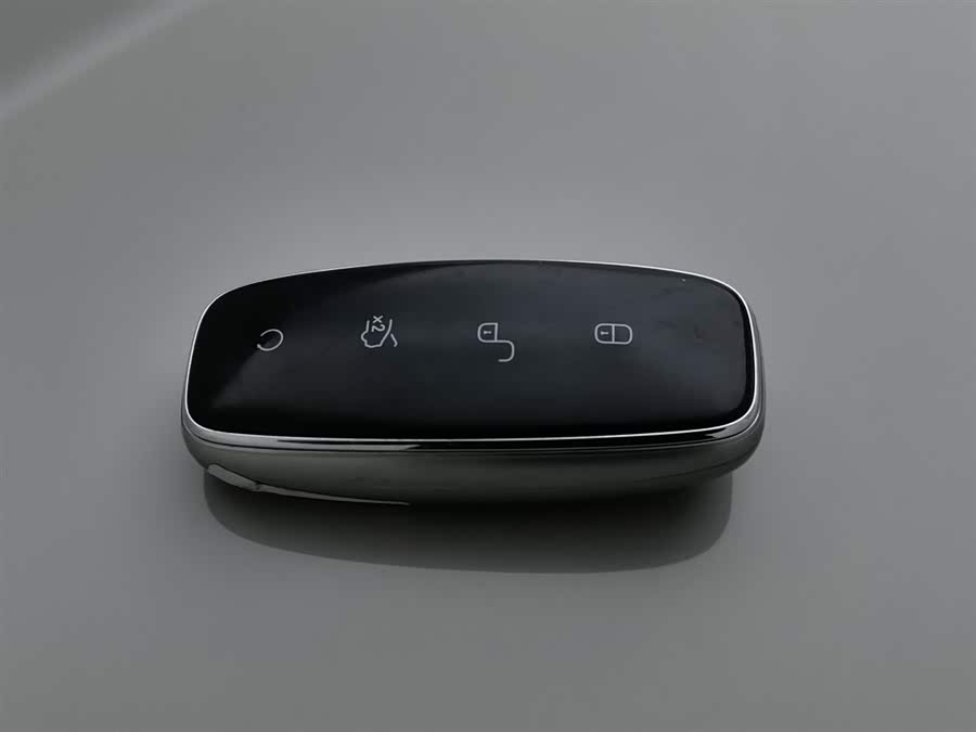 Denza 2023 car image #20