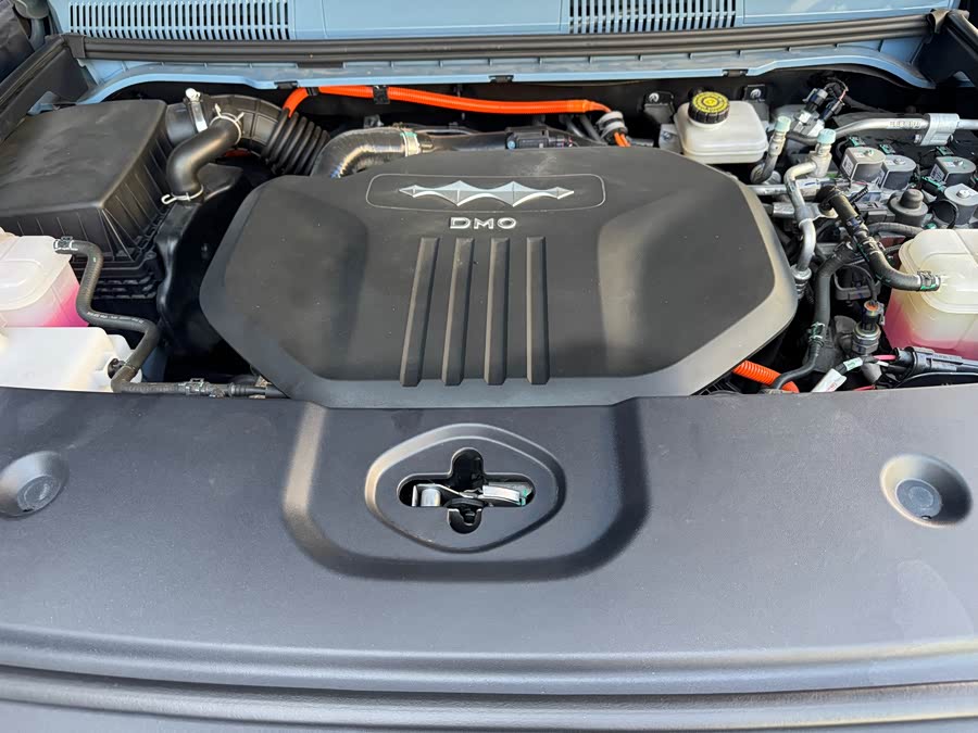 FangChengBao Leopard 5 2024 #20 FangChengBao Leopard 5 2024 car image #20