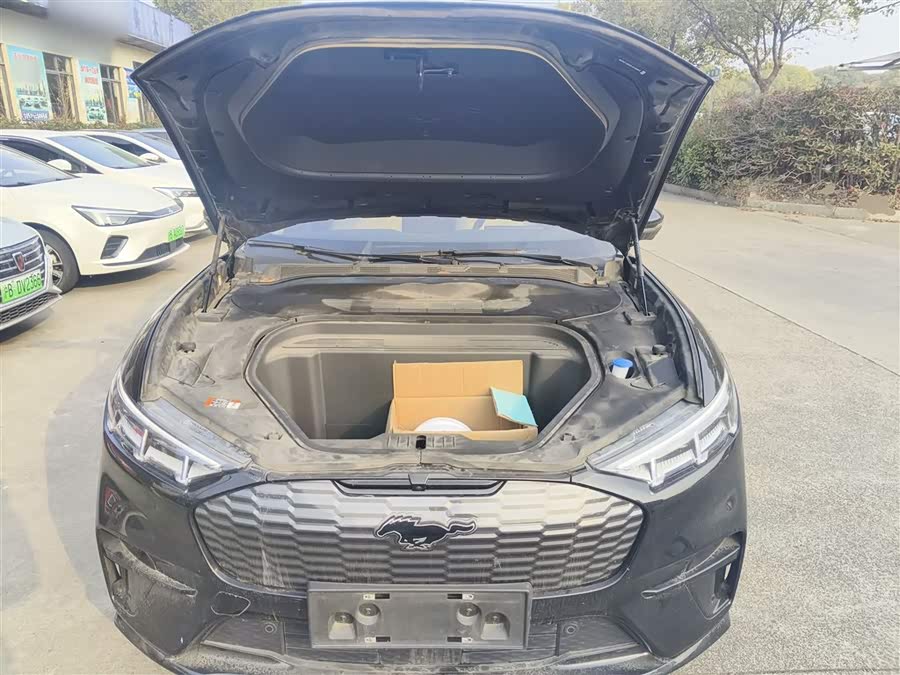 Ford Mustang Mach-E 2022 car image #20