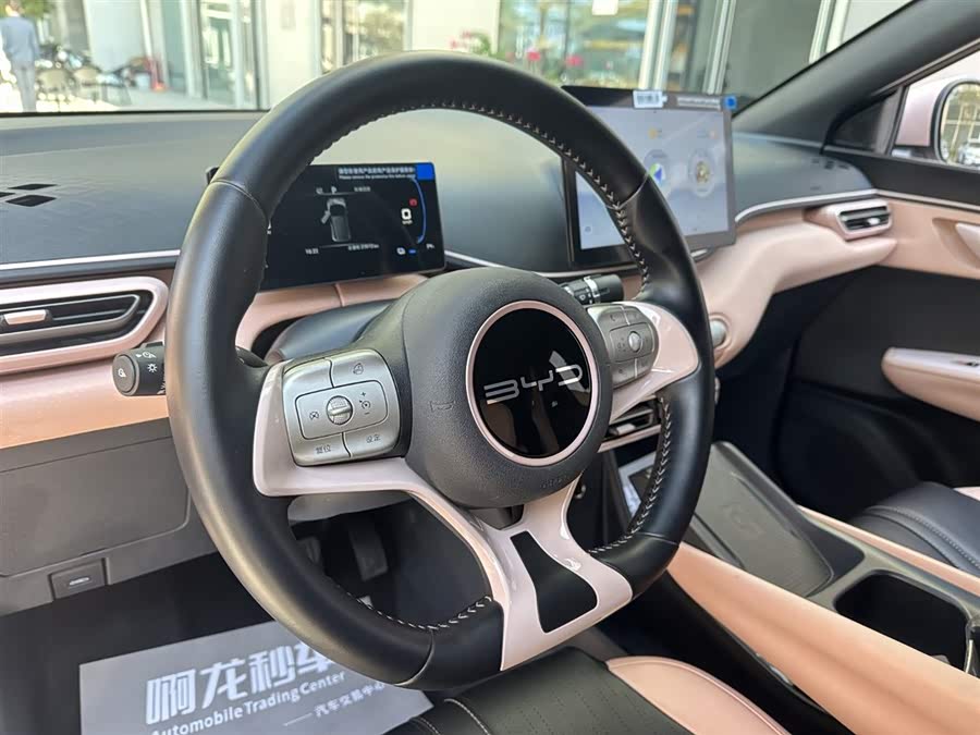 BYD Seagull 2023 immagine di auto #20