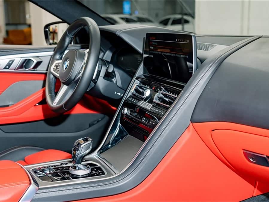 BMW 8 Series 2022 car image #20