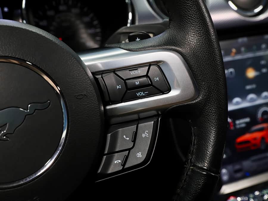 Ford Mustang 2015 car image #20