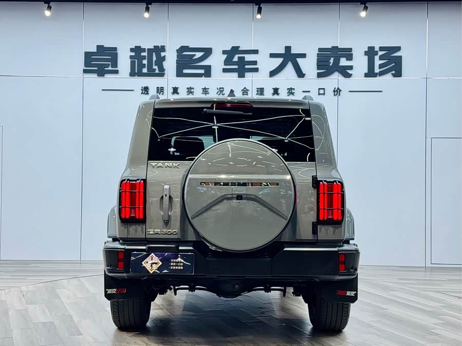 Tank 300 2023 #20 Tank 300 2023 imagen de coche #20