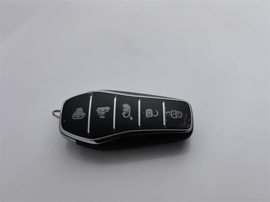 BYD Xia 2024 imagen de coche #20