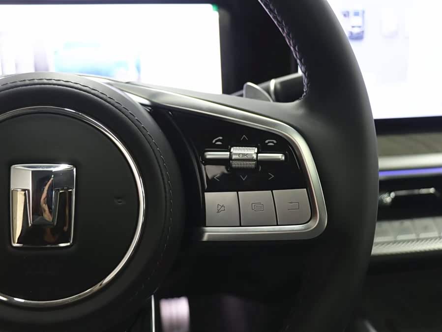 Tank 500 New Energy 2025 car image #20