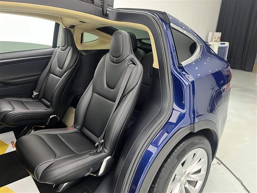 Tesla Model X 2018 car image #20