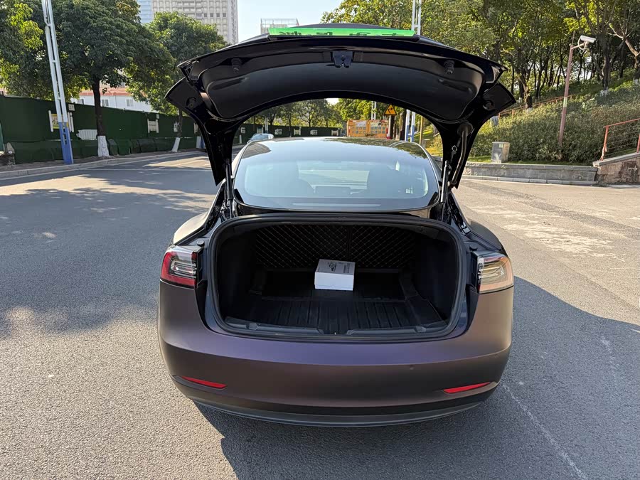 特斯拉 Model 3 2020 汽车图片 #20
