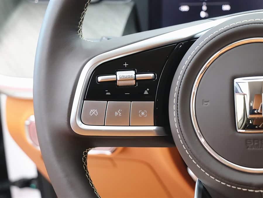 Tank 500 New Energy 2025 #20 Tank 500 New Energy 2025 car image #20