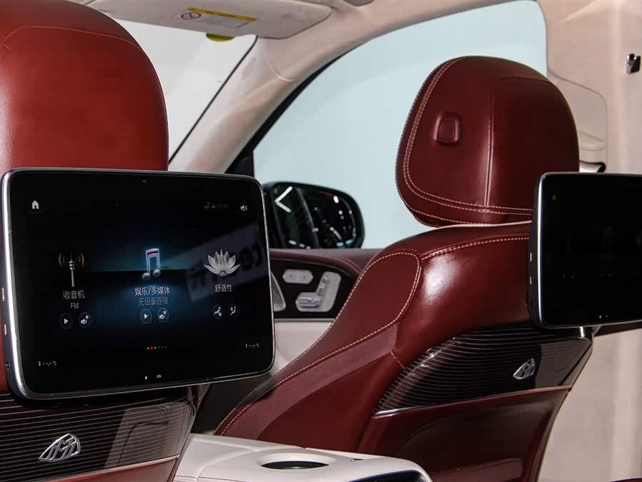 Mercedes-Benz Maybach GLS 2021 car image #20