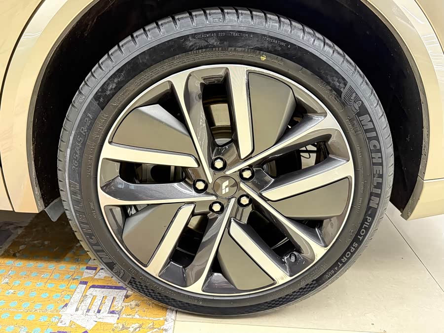 Li L9 2023 imagen de coche #20