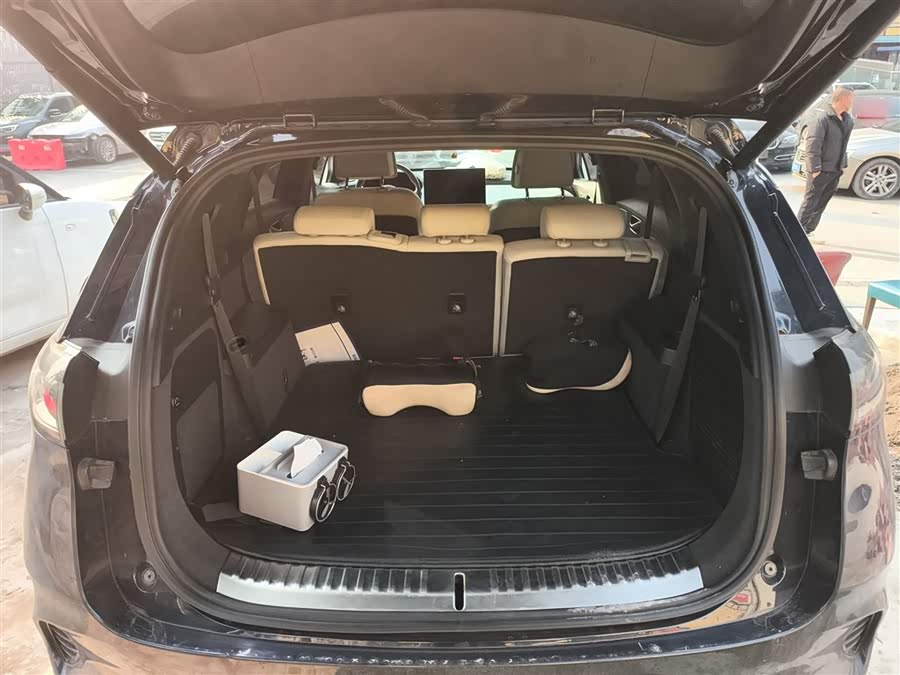 Denza X 2020 изображение автомобиля #20