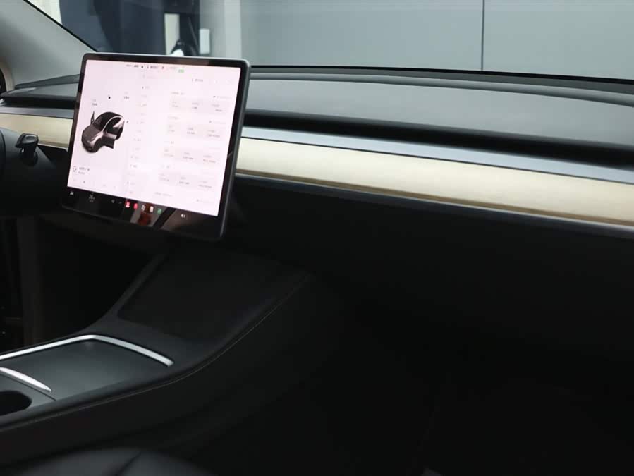 Tesla Model Y 2021 car image #20