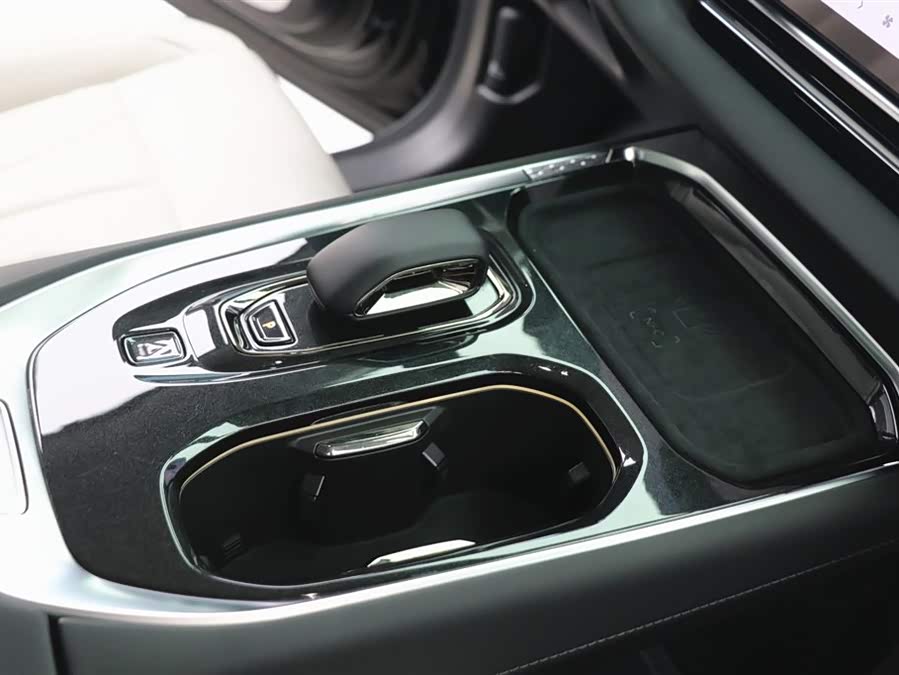 极氪 极氪009 2024 汽车图片 #20