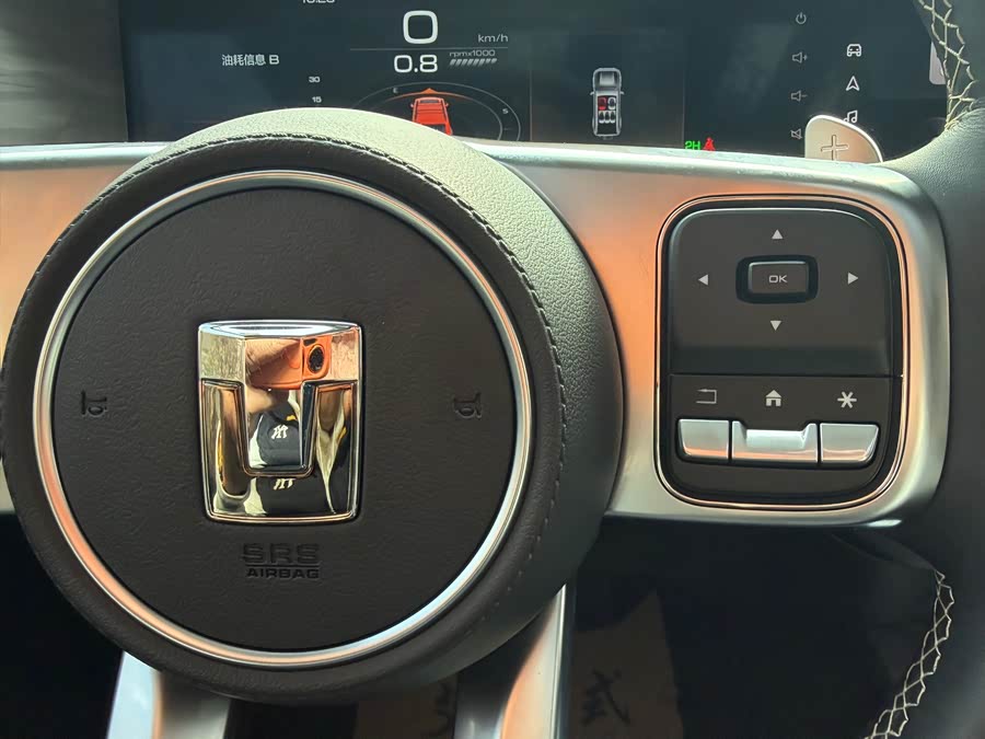 Tank 300 2023 car image #20