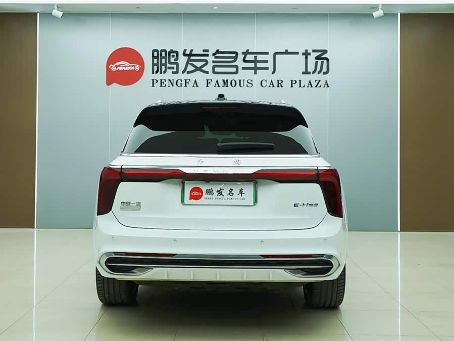 HongQi E-HS9 2022 immagine di auto #20