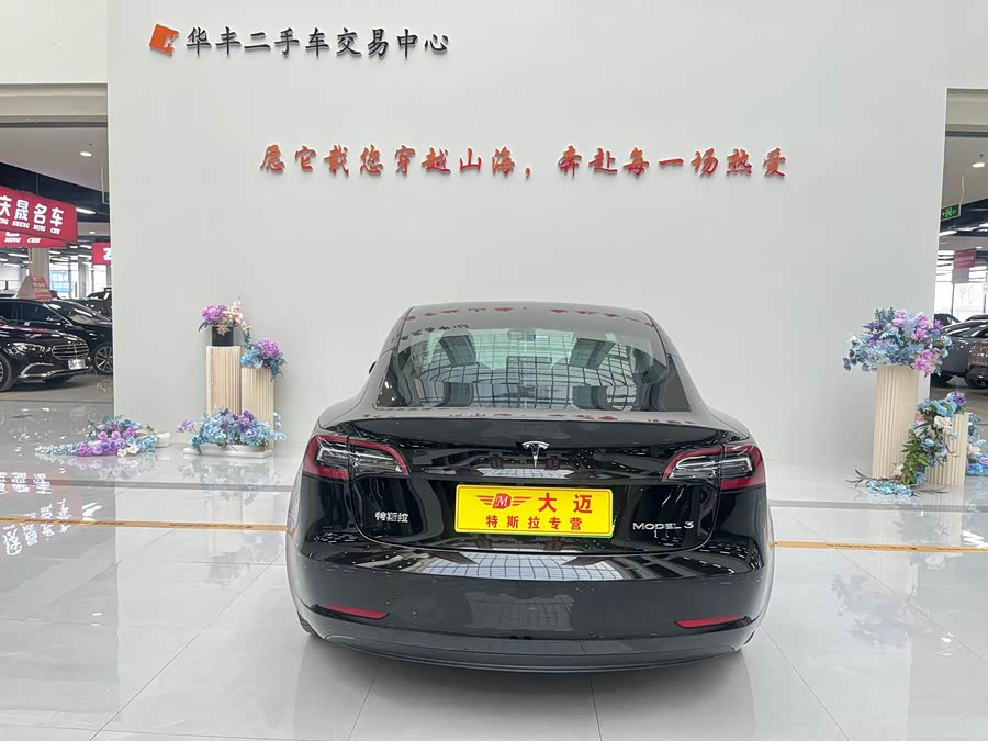 Tesla Model 3 2020 #20 Tesla Model 3 2020 car image #20