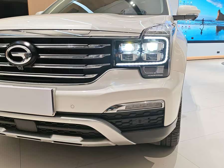 GAC Trumpchi GS8 2019 car image #20