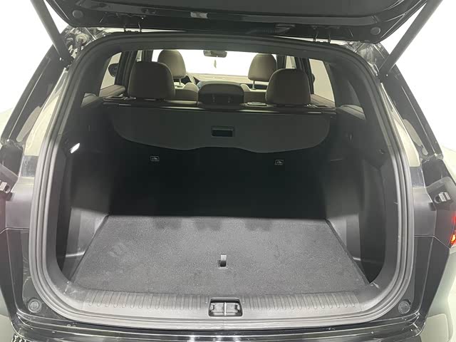 GEELY Monjaro 2022 car image #20