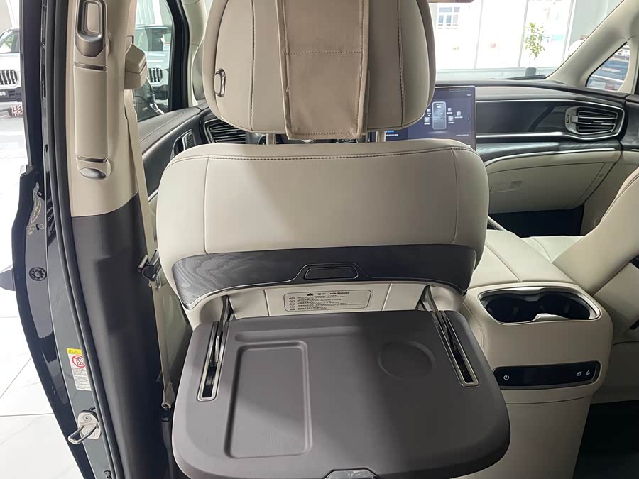 Denza D9 2025 imagen de coche #20