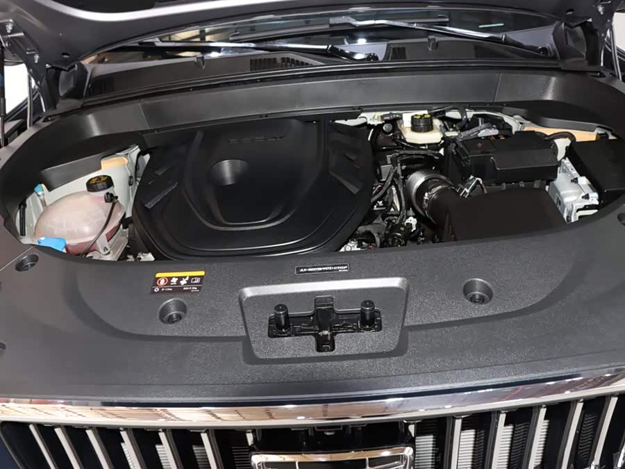 GEELY Monjaro 2024 car image #20