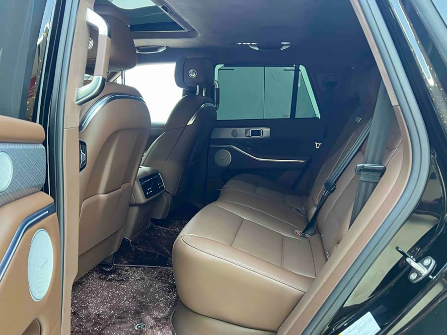 Tank 700 New Energy 2024 car image #20