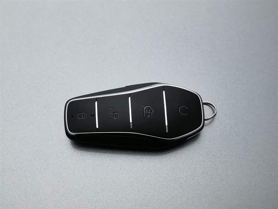 BYD Dolphin 2022 car image #20