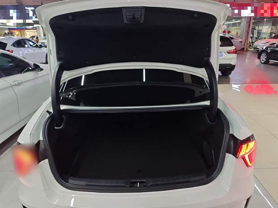 Lynk & Co 03 New Energy 2021 car image #20