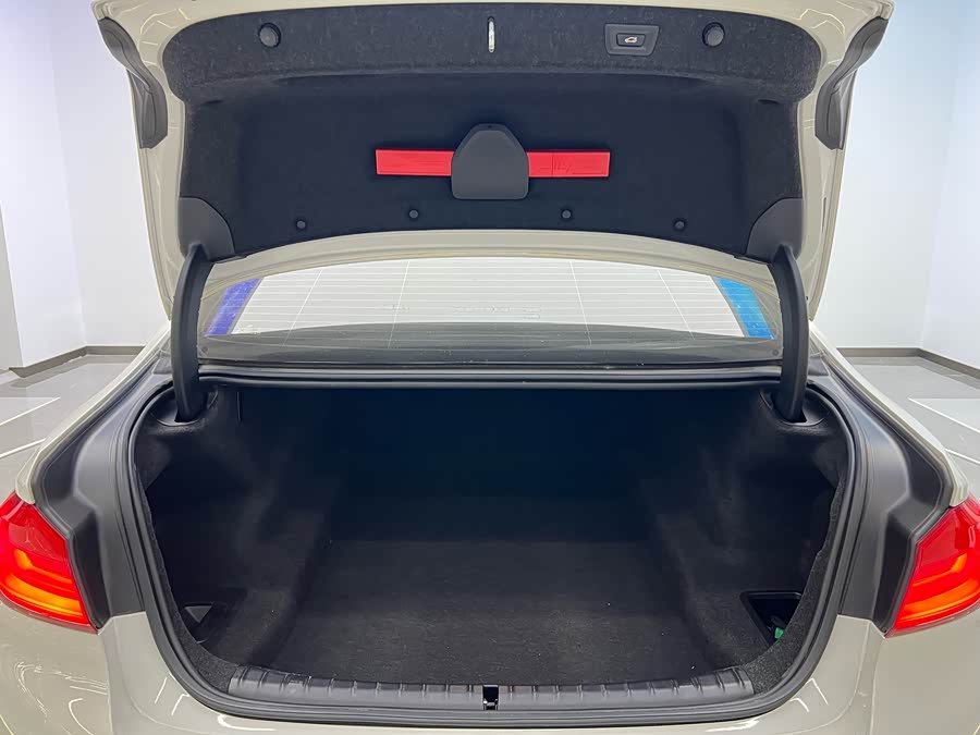 BMW 5 Series 2019 car image #20