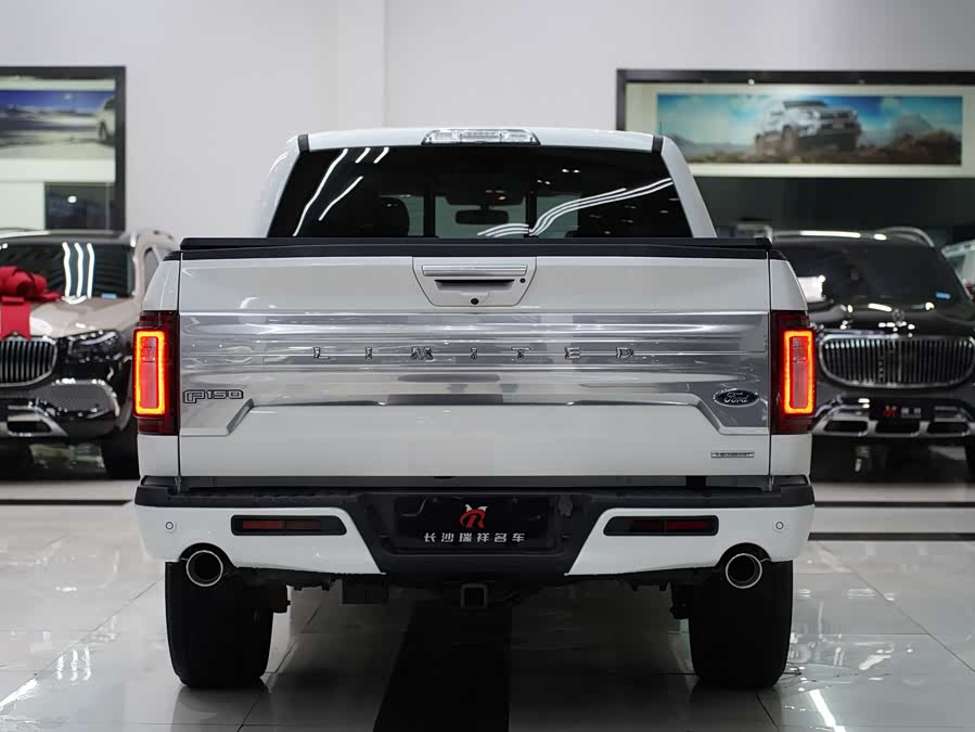 Ford F-150 Raptor 2020 #20 Ford F-150 Raptor 2020 car image #20