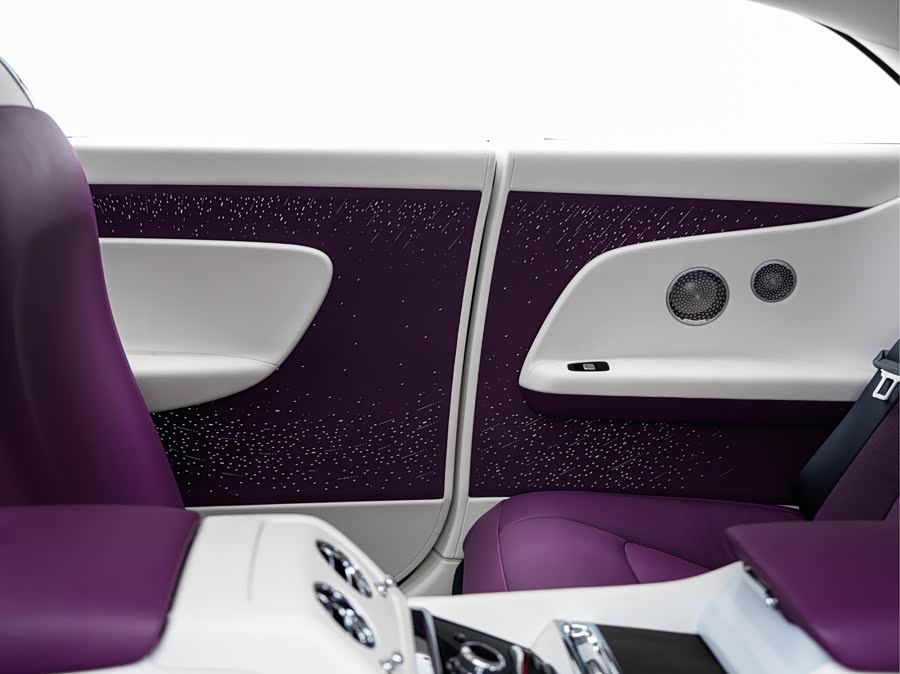 Rolls-Royce Spectre 2024 immagine di auto #20