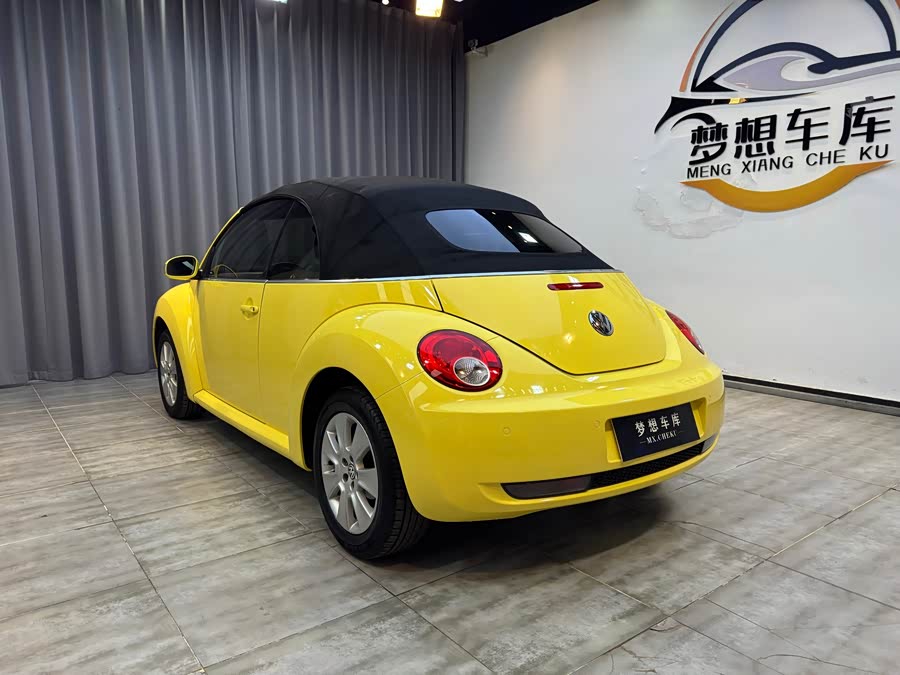 Volkswagen Beetle 2010 immagine di auto #20