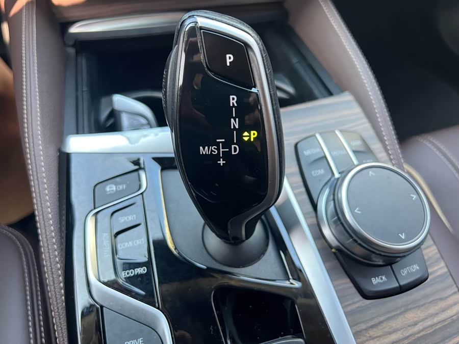 BMW 5 Series New Energy 2019 car image #20