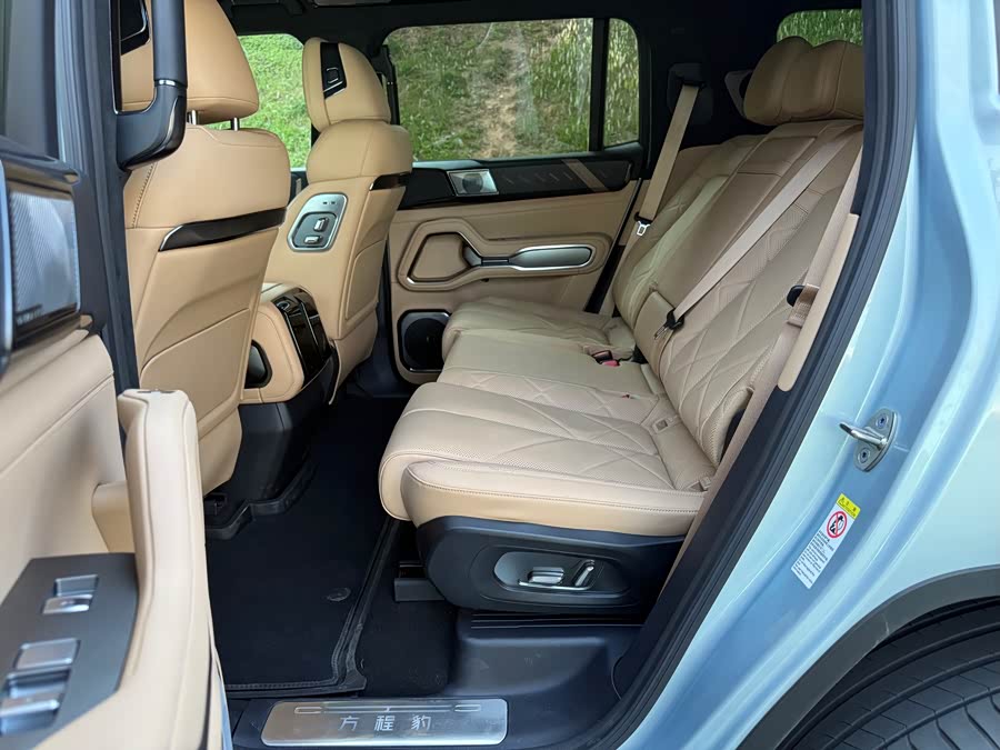 FangChengBao Leopard 8 2024 car image #20