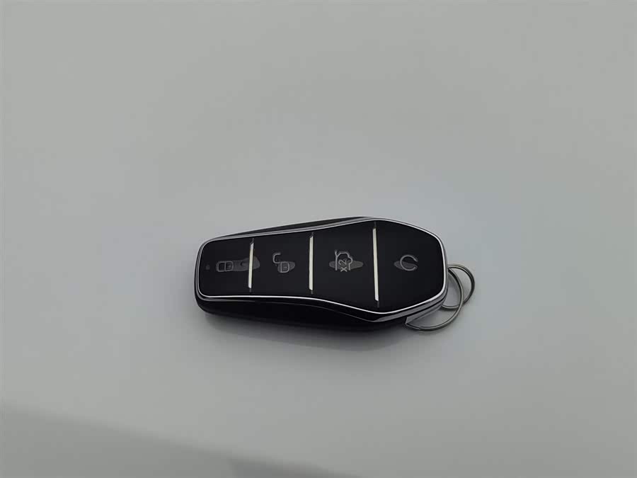 BYD SongL DM-i 2025 car image #20